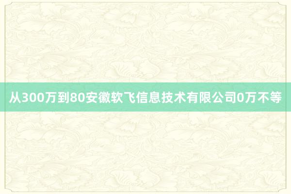从300万到80安徽软飞信息技术有限公司0万不等