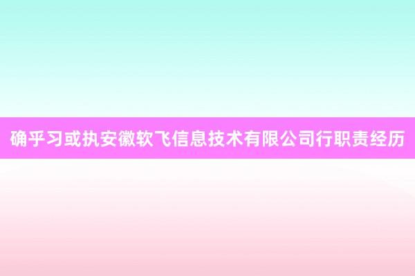 确乎习或执安徽软飞信息技术有限公司行职责经历