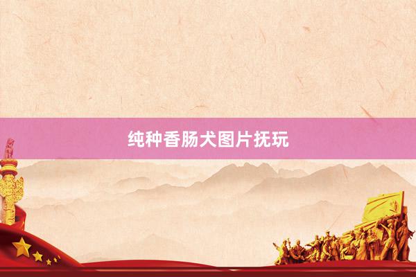 纯种香肠犬图片抚玩